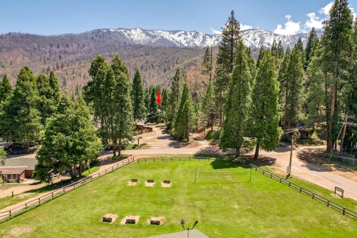 Camp Nelson 2 Ponderosa