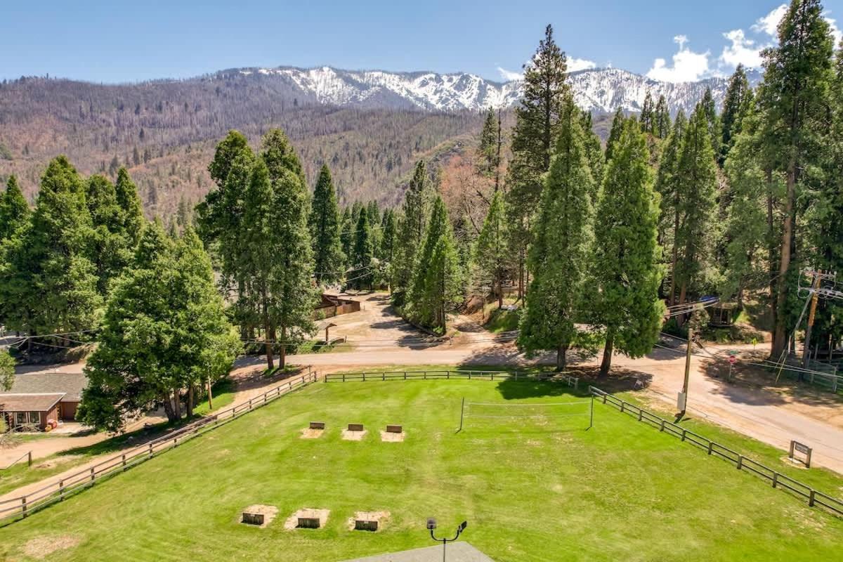 Camp Nelson 2 Ponderosa